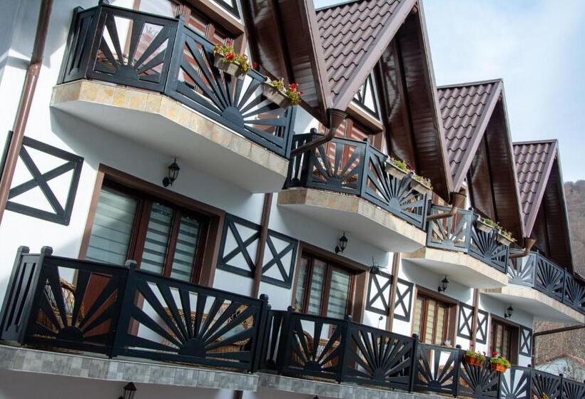 ‫فيلا غرفة نوم واحدة, Casa Albert Sinaia