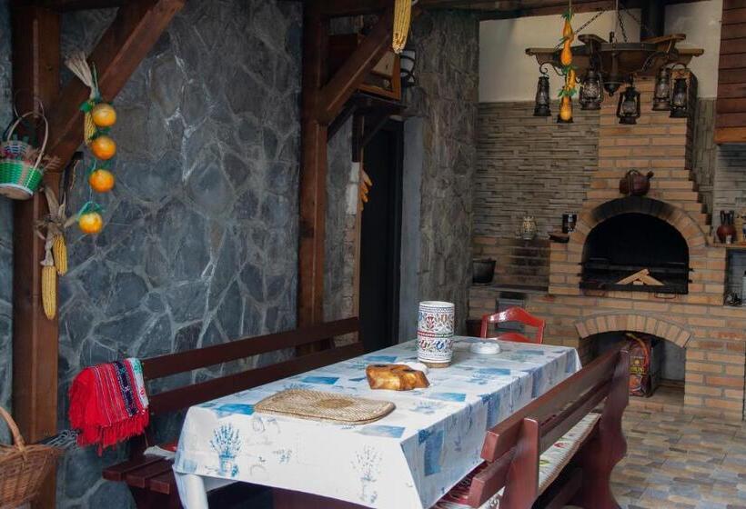 ‫فيلا غرفة نوم واحدة, Casa Albert Sinaia