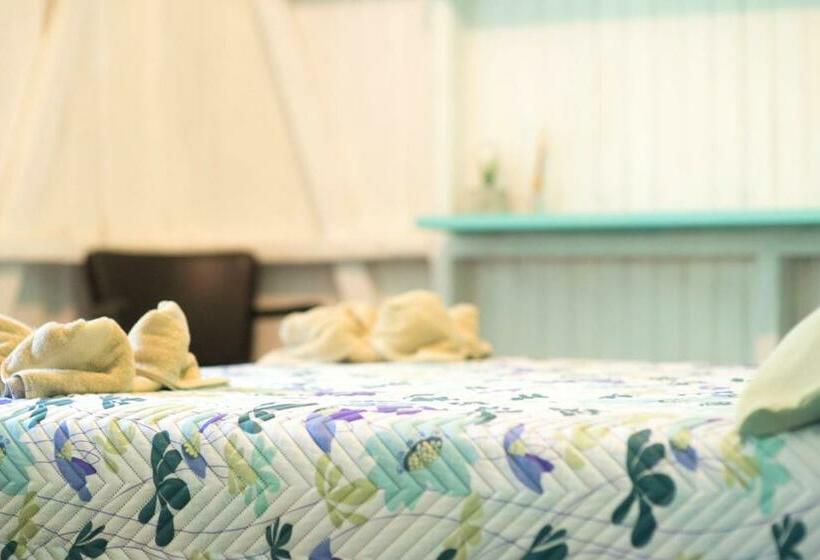 스탠다드 룸 공동 욕실, Madre Selva Hostel