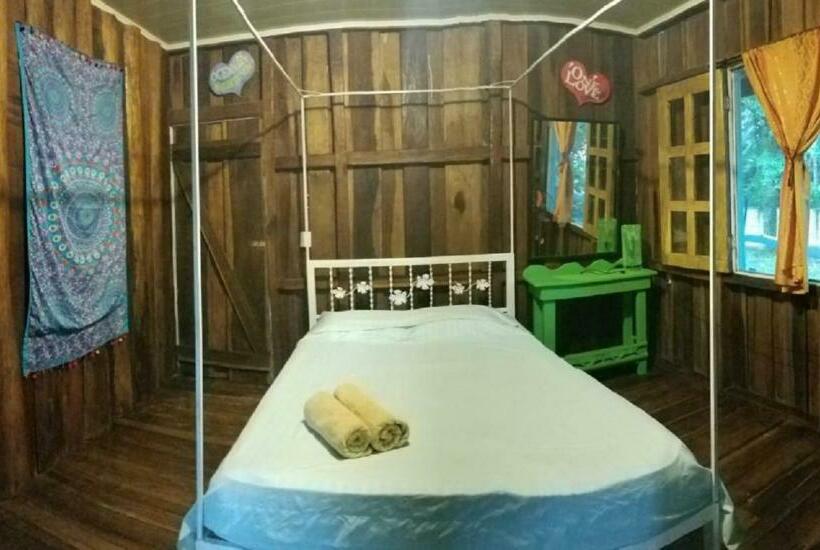 Quarto Estandar Banheiro Compartilhado, Madre Selva Hostel