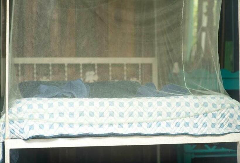 Quarto Estandar Banheiro Compartilhado, Madre Selva Hostel