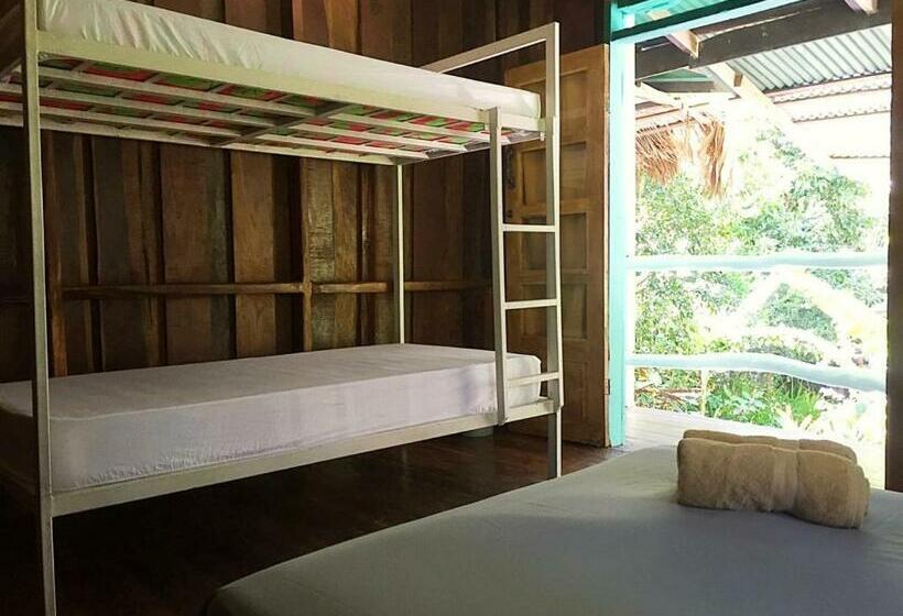 패밀리 룸 공용 욕실, Madre Selva Hostel