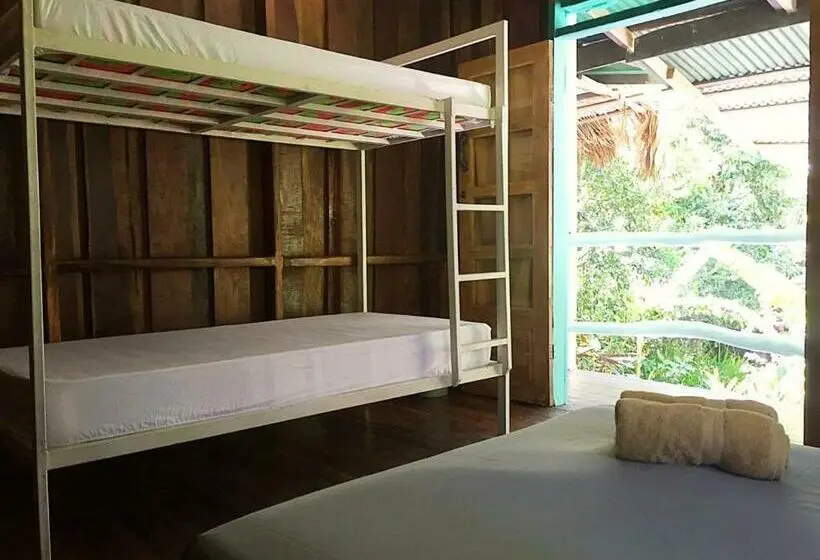 浴室共有ファミリールーム, Madre Selva Hostel
