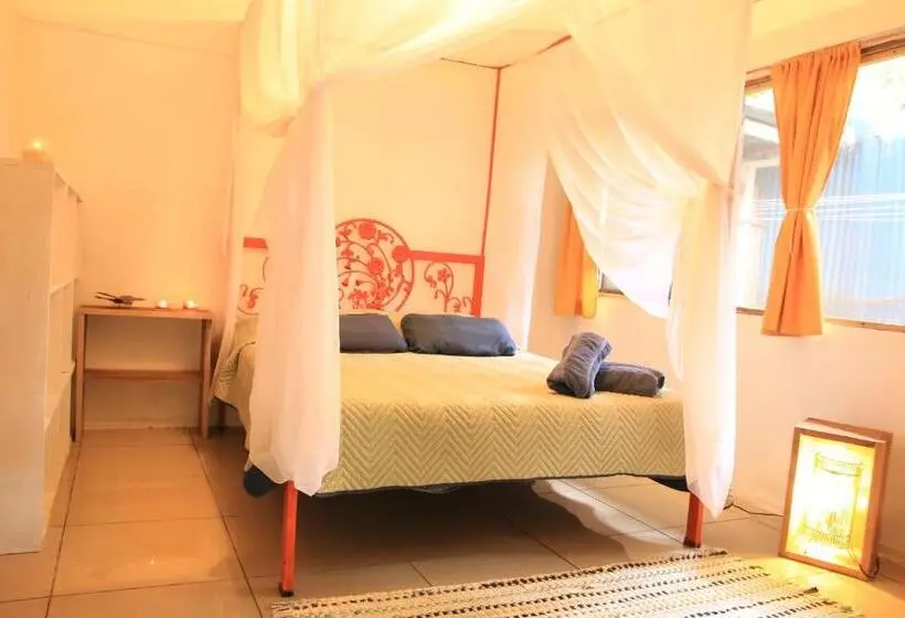 スタンダードルーム, Madre Selva Hostel
