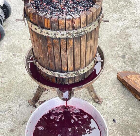 اتاق استاندارد, Guest House Royal Comfort With Terrace