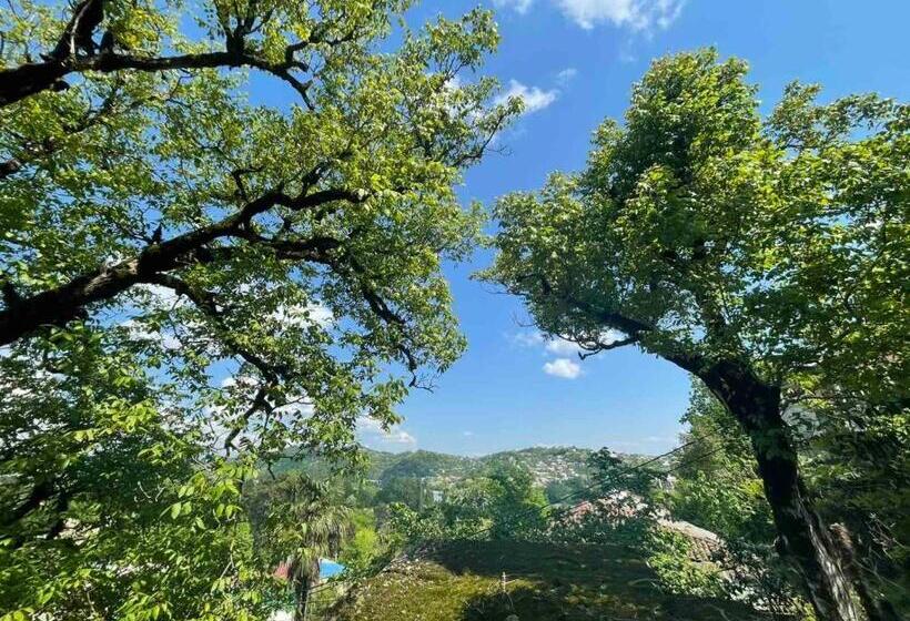 اتاق استاندارد, Guest House Royal Comfort With Terrace