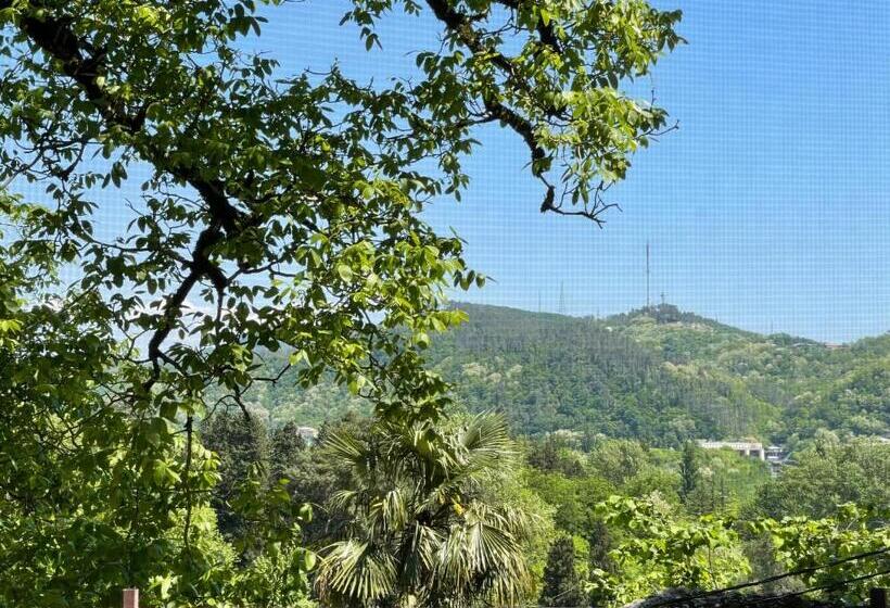 اتاق استاندارد با سرویس بهداشتی مشترک, Guest House Royal Comfort With Terrace