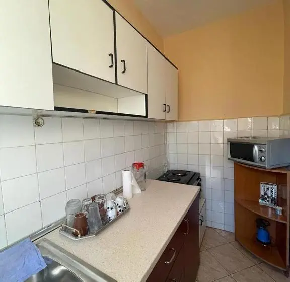 اتاق استاندارد یک تخته با بالکن, Neo Apartments