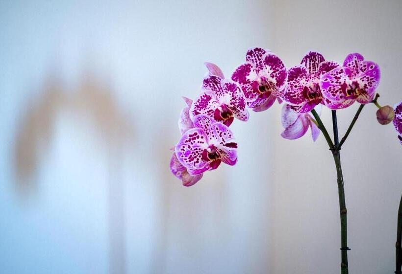 מיטת קינג בסוויטה, Agriturismo Antico Casale Colli Di San Pietro