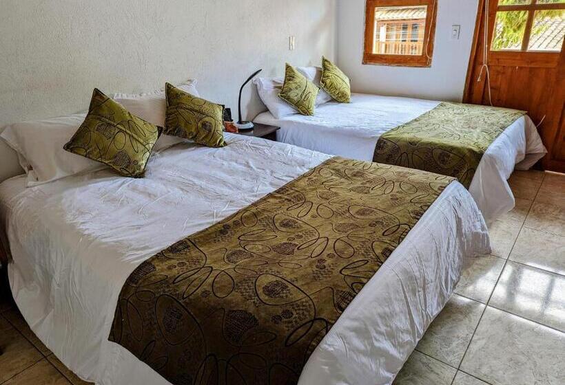 חדר סטנדרט, Casa De Huéspedes Faletto