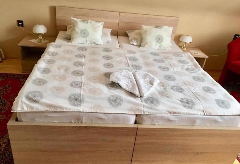 اتاق استاندارد با چشم‌انداز باغ, Németh Vendégház