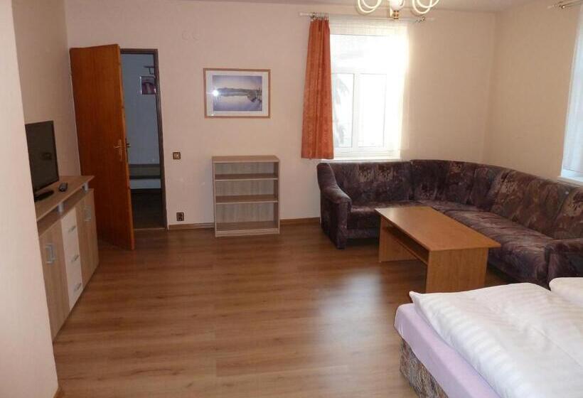 شقة غرفتين, Penzion Holiday