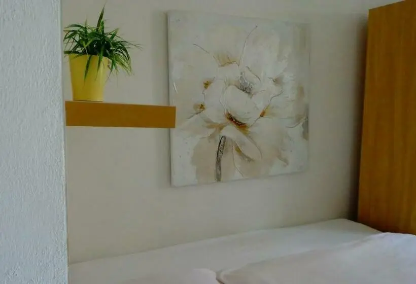 اتاق استاندارد یک نفره, Penzion Marriot