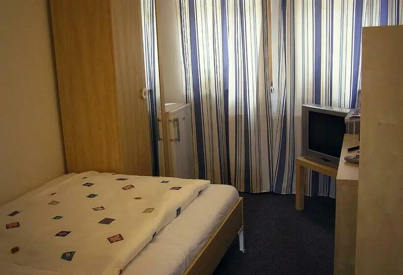 اتاق استاندارد یک نفره, Penzion Marriot