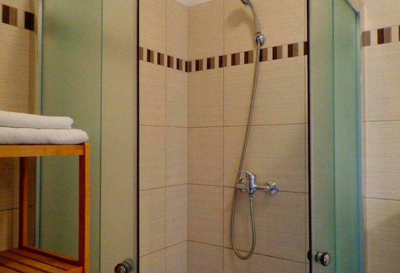 اتاق استاندارد یک نفره, Penzion Marriot