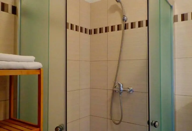 اتاق استاندارد یک نفره, Penzion Marriot