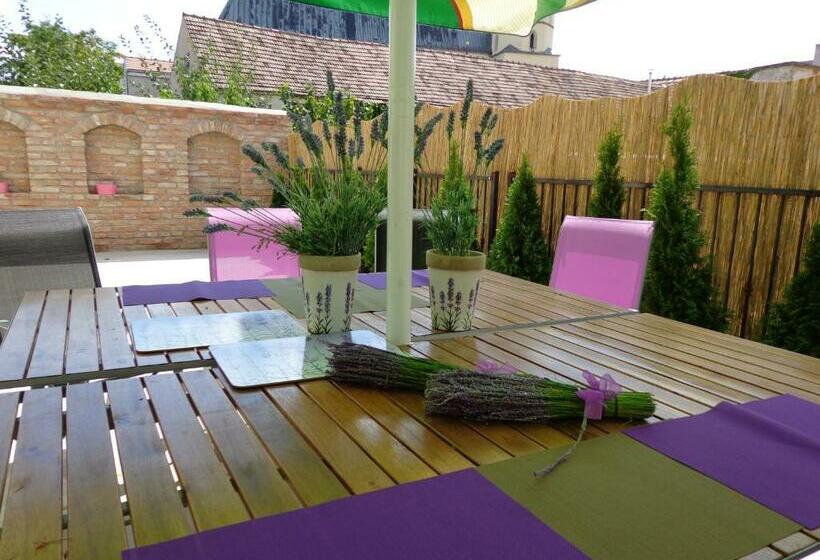 اتاق استاندارد یک نفره, Penzion Marriot