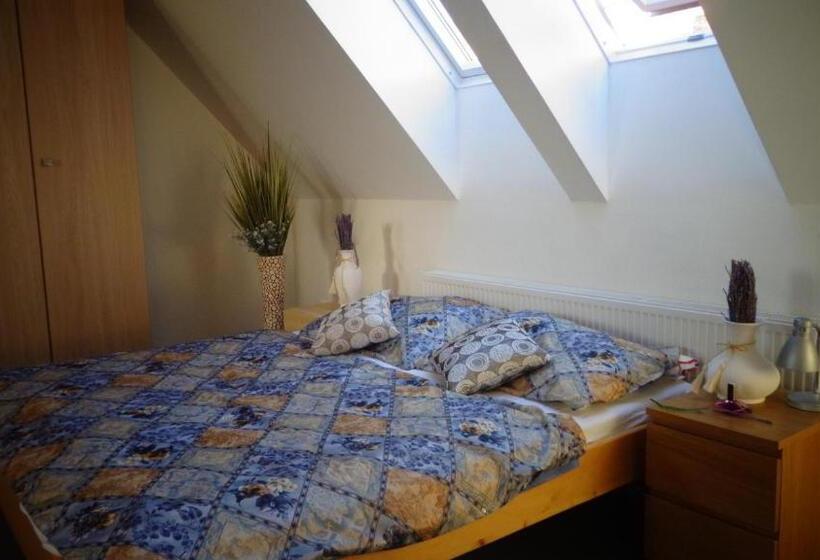 آپارتمان 1 خوابه, Penzion Marriot