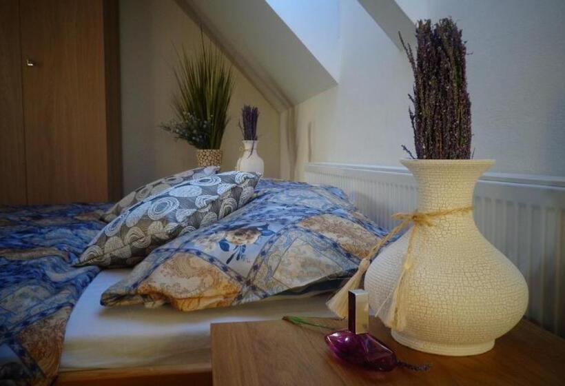 آپارتمان 1 خوابه, Penzion Marriot