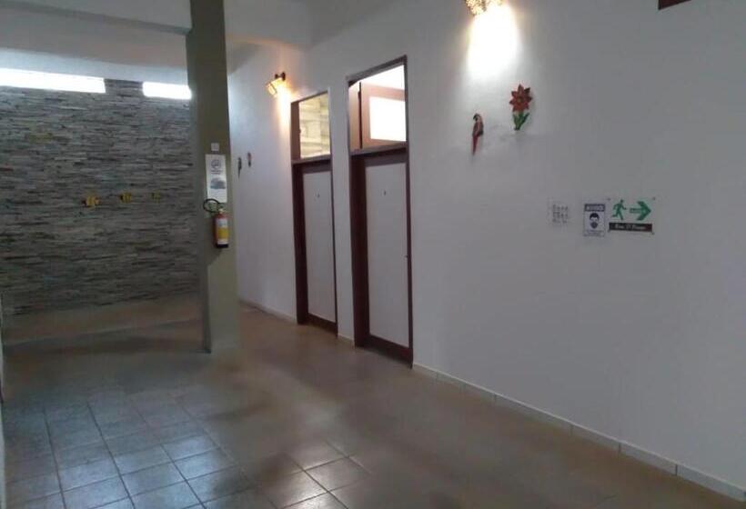 اتاق استاندارد, Pouso D' Braga