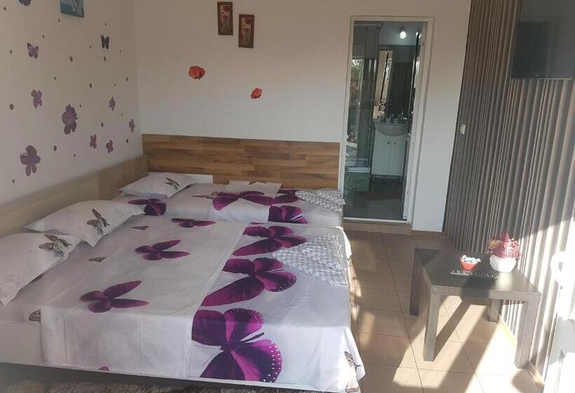 غرفة قياسية ثلاثية, Vila Alexandru