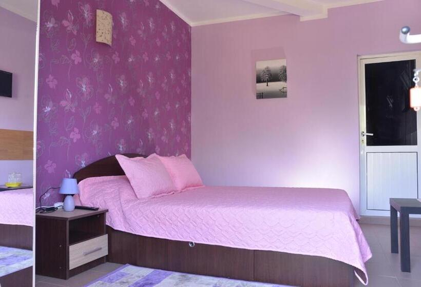 غرفة قياسية, Vila Alexandru