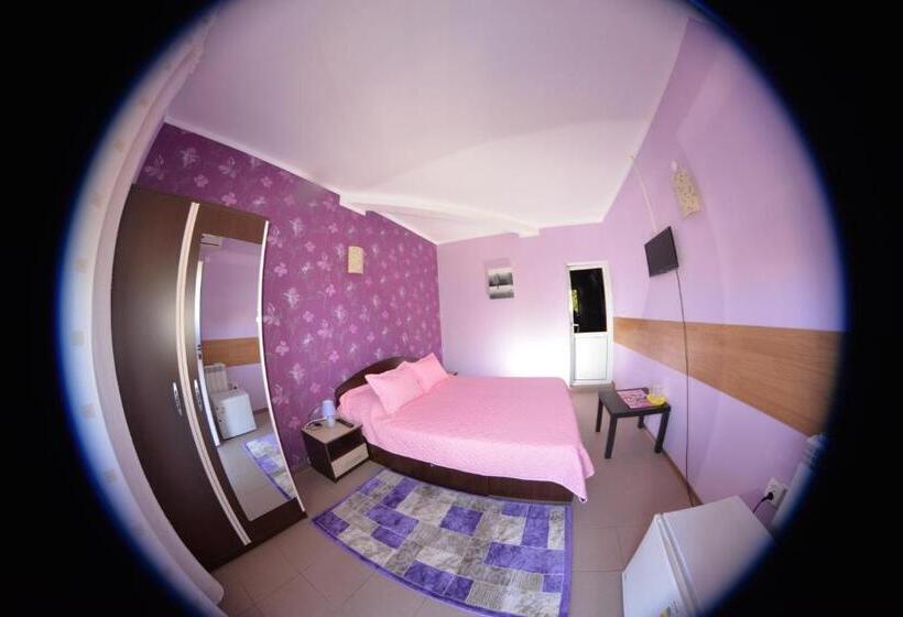 اتاق استاندارد, Vila Alexandru