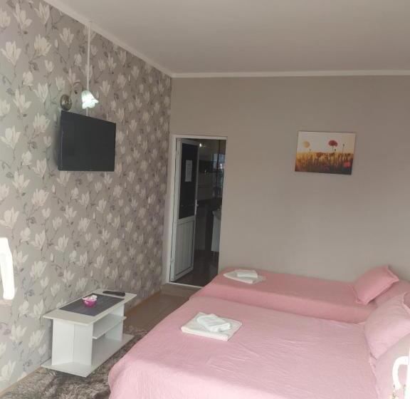 غرفة قياسية ثلاثية, Vila Alexandru