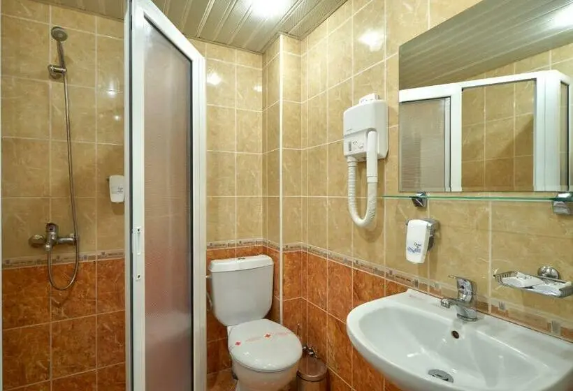 デラックスルーム, Villa Arbanashki Han