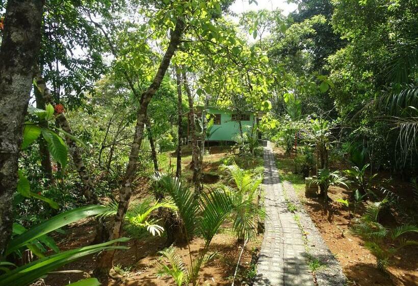 اتاق استاندارد با تخت بزرگ, Casa Jade