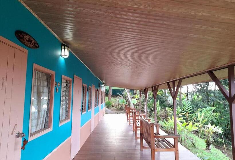 اتاق استاندارد با تخت بزرگ, Casa Jade