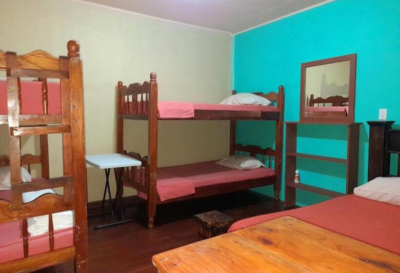Номер Стандарт Четырехместный Совместный Санузел, Casa Jade