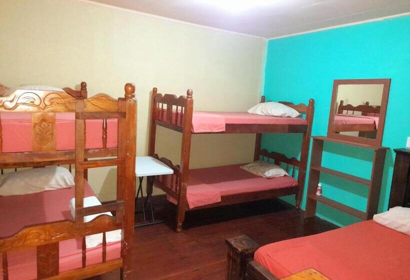 اتاق استاندارد چهارنفره با سرویس بهداشتی مشترک, Casa Jade