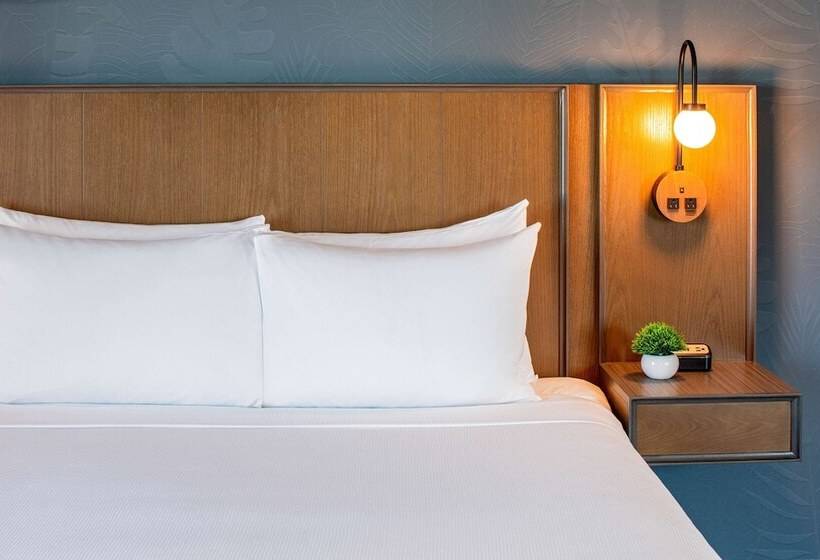 Номер Стандарт Кровать Кинг Адаптированный для Инвалидов, Hyatt Place Tampa Downtown