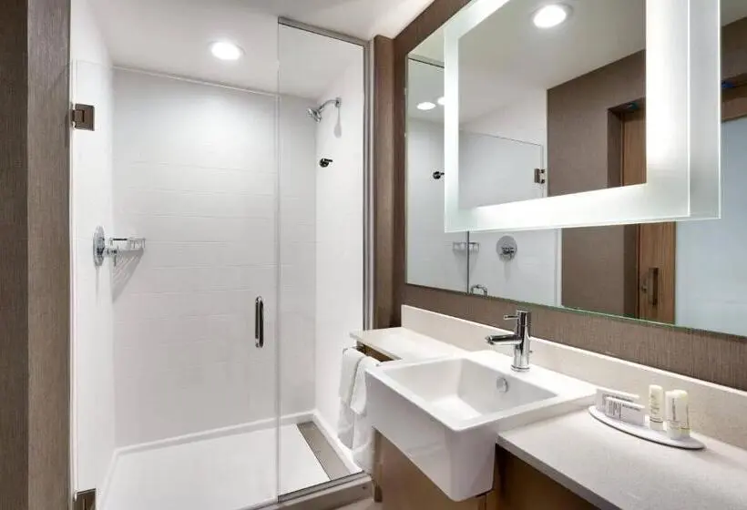 身障者適用スイートルーム, Springhill Suites By Marriott Salt Lake City West Valley