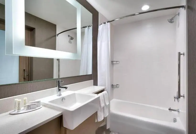 身障者適用スイートルーム, Springhill Suites By Marriott Salt Lake City West Valley