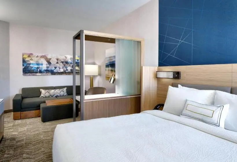 身障者適用スイートルーム, Springhill Suites By Marriott Salt Lake City West Valley