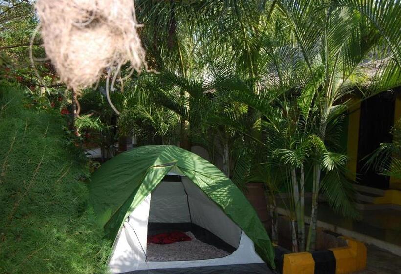 كوخ قياسي, Megha Resort , Hampi