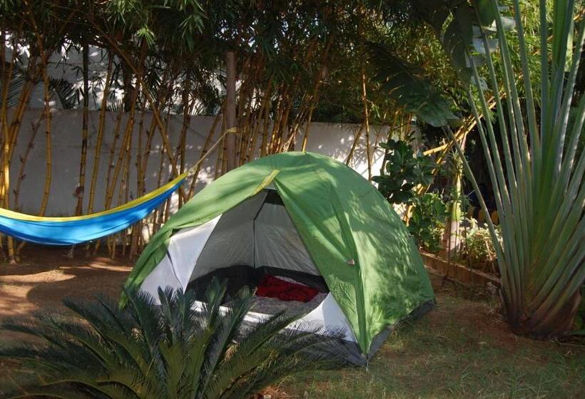 كوخ قياسي, Megha Resort , Hampi