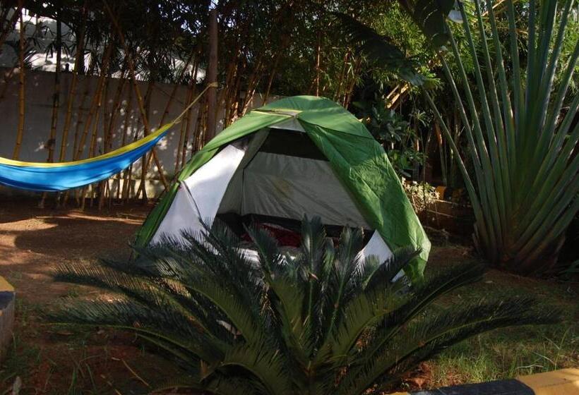 كوخ قياسي, Megha Resort , Hampi