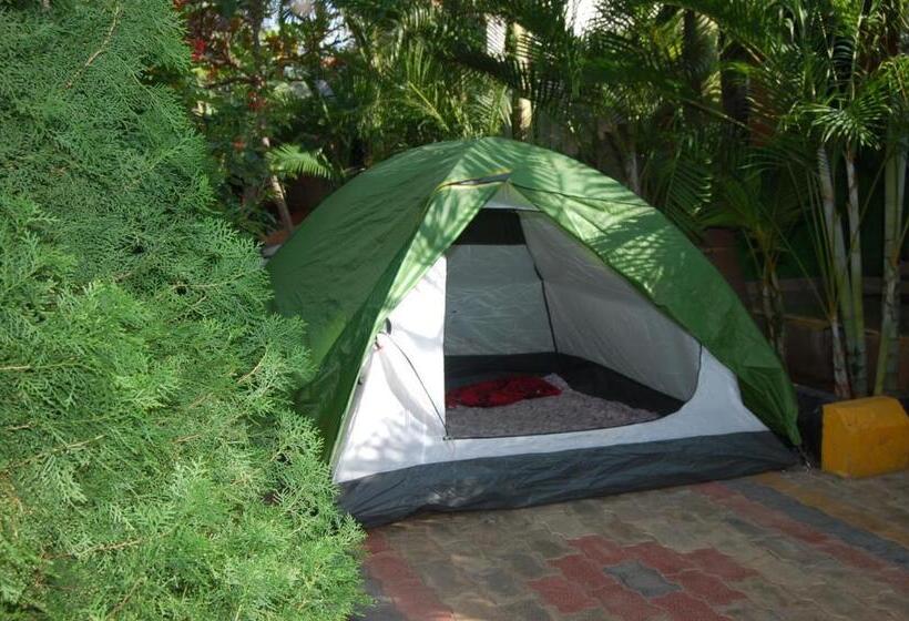 كوخ قياسي, Megha Resort , Hampi