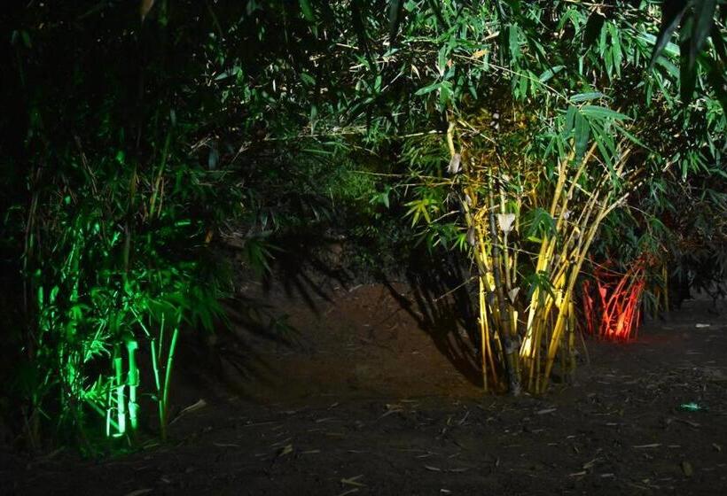 كوخ قياسي, Megha Resort , Hampi