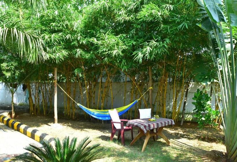 كوخ قياسي, Megha Resort , Hampi