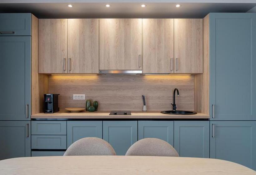 آپارتمان 1 خوابه با تراس, Dozsa Residence