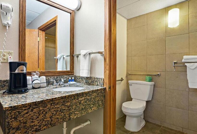 Номер Стандарт Кровать Кинг Адаптированный для Инвалидов, Rodeway Inn