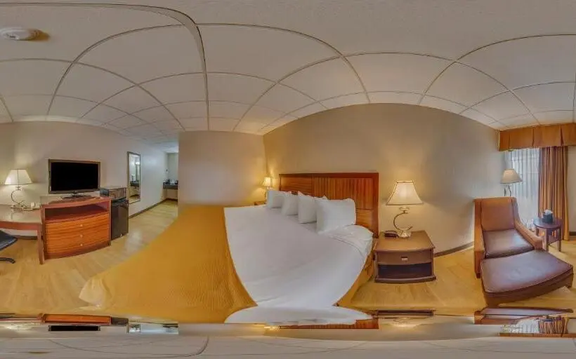 キングサイズベッドのスタンダードルーム, Rodeway Inn