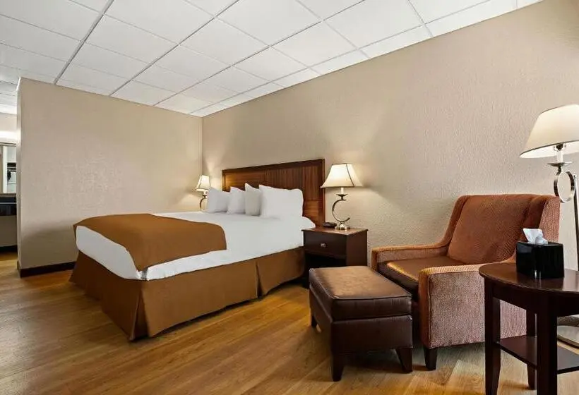 キングサイズベッドのスタンダードルーム, Rodeway Inn