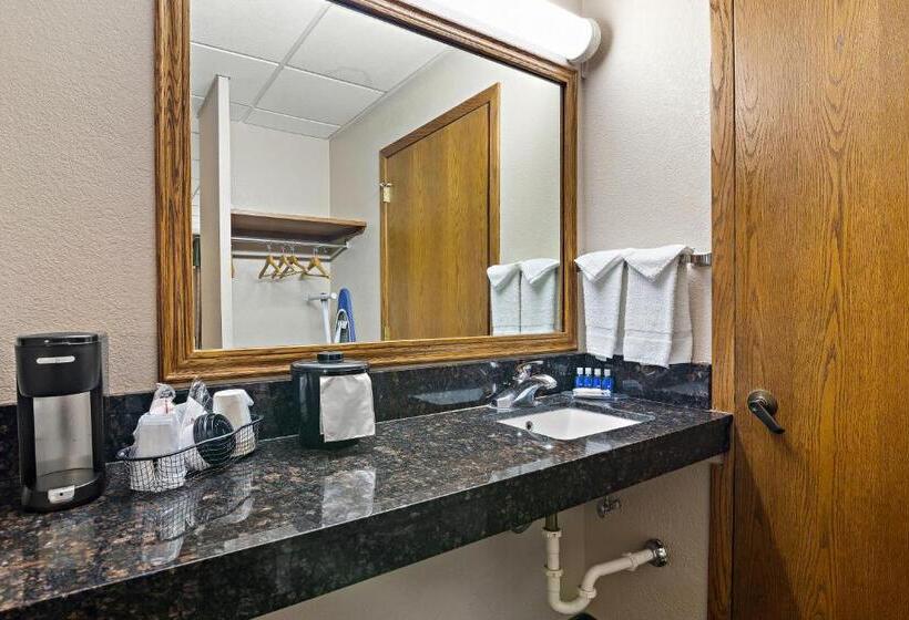 Номер Стандарт Кровать Квин Адаптированный для Инвалидов, Rodeway Inn