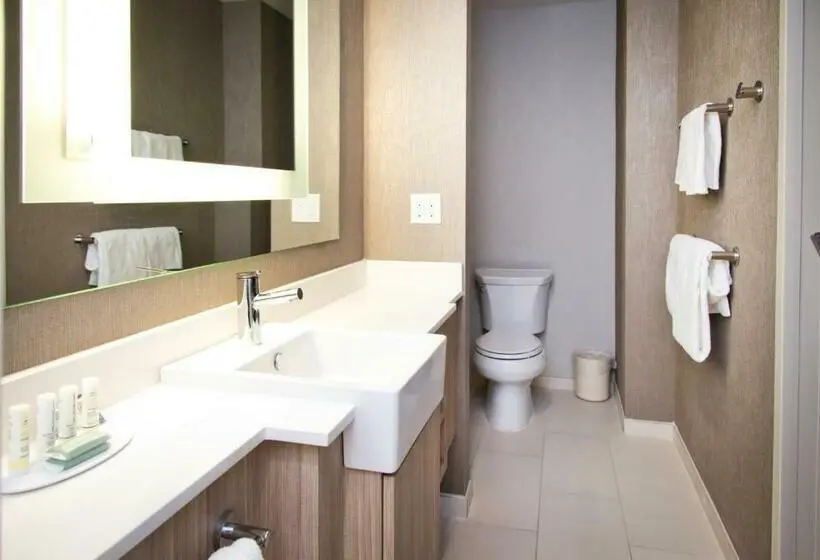 キングサイズベッドのスイートルーム, Springhill Suites By Marriott West Sacramento