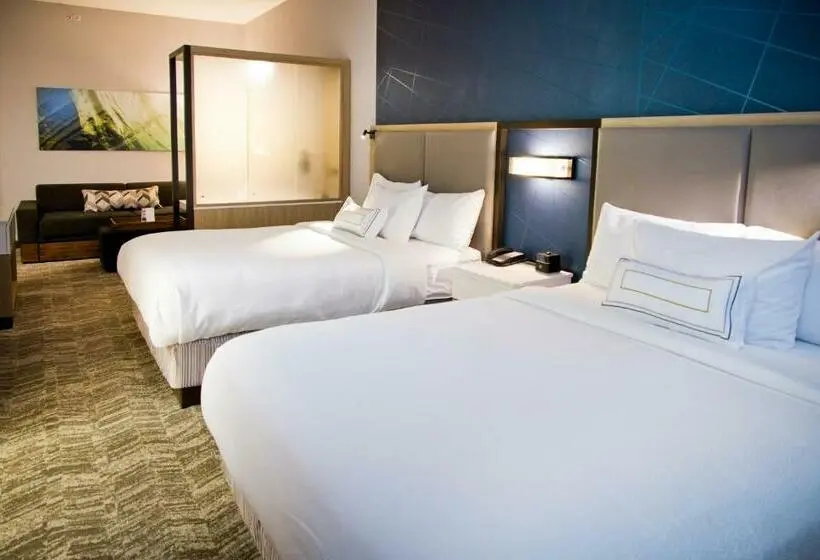 スイート, Springhill Suites By Marriott West Sacramento